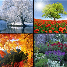 [Сабира Арефкина] Цветотип. Как узнать и полюбить _0.jpg